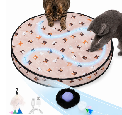 PawMatic™ Hide And Seek Cat Toy